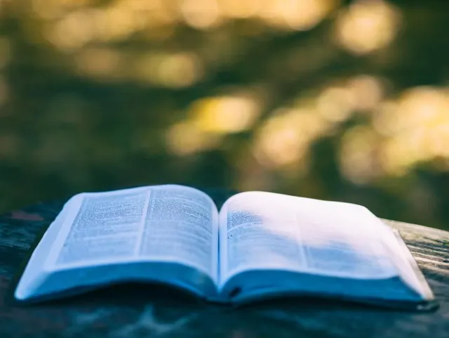 Open Bible resting outdoors in soft light