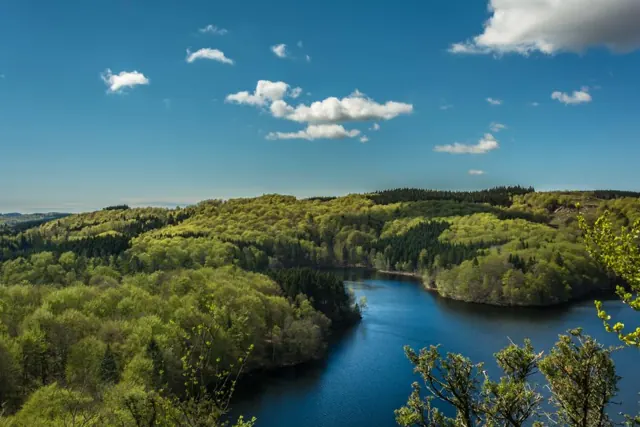 River winding through a green forest